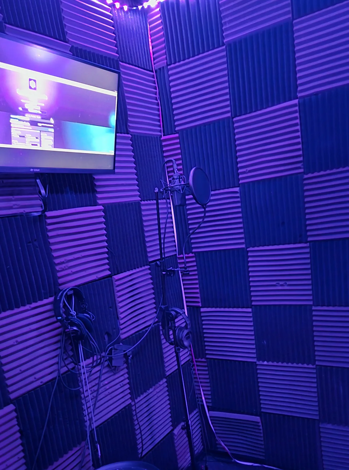 RSM Studios vocal booth with microphone and acoustic treatment