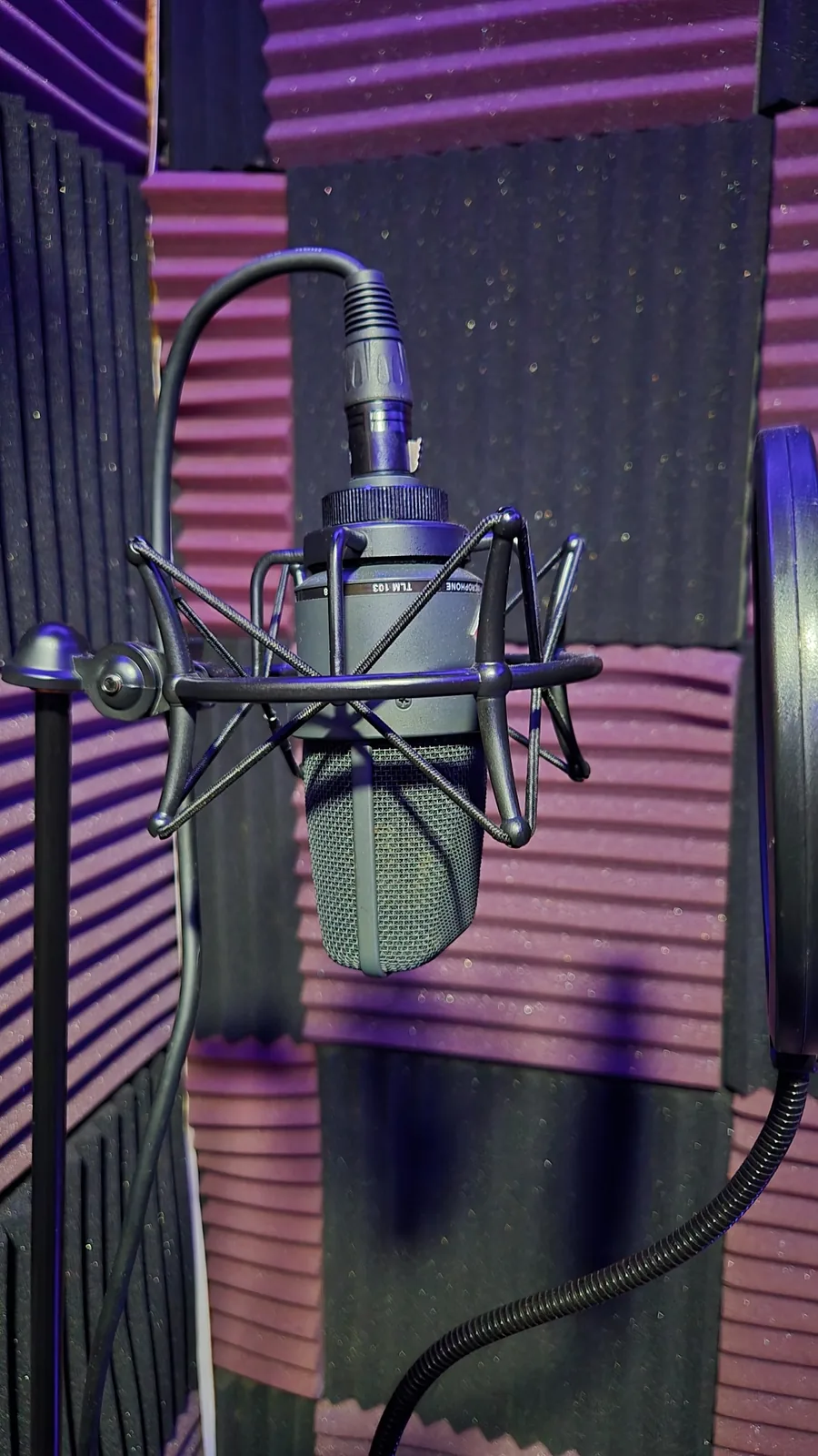 Neumann TLM 103 microphone in the RSM Studios vocal booth